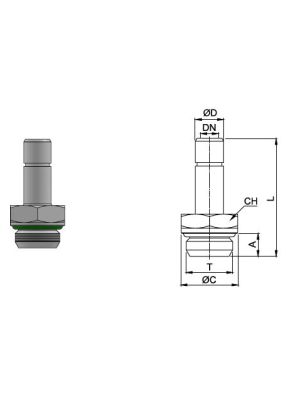Adpater stainless steel AISI 316L with BSPP thread